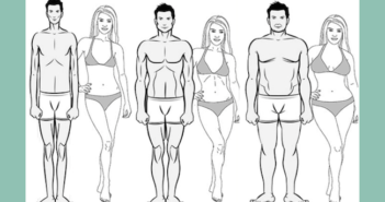 Bare Bones – The Body Types