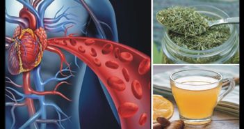 5 Herbs That Boost Blood Flow