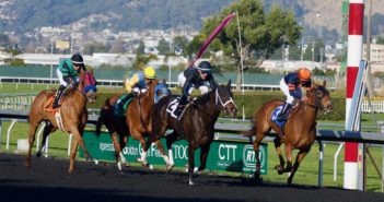 Horse Racing The Heart-Liberating Sport