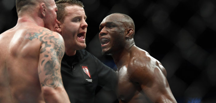 The Writer And The Fighter – UFC 245 Breakdown