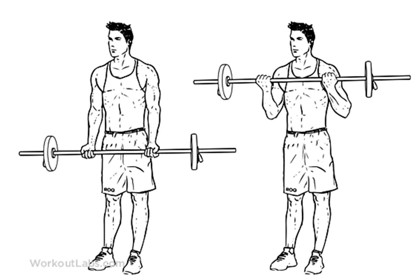 Подъем штанги на бицепс стоя