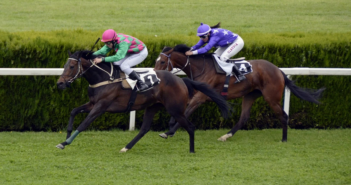 Bet Online! How To Successfully Wager In The 2020 Kentucky Derby