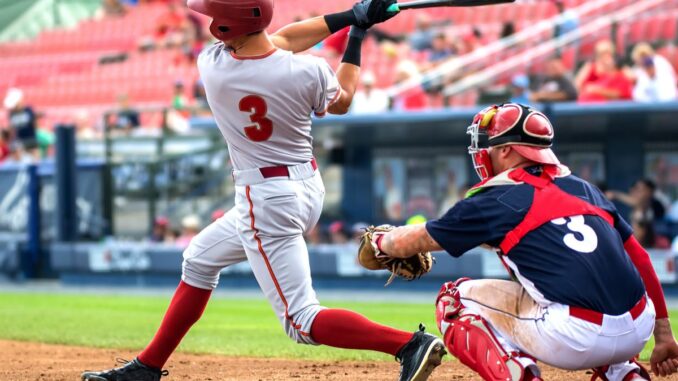 homerunderbybatsonly-369220-baseballbatsocks-image1