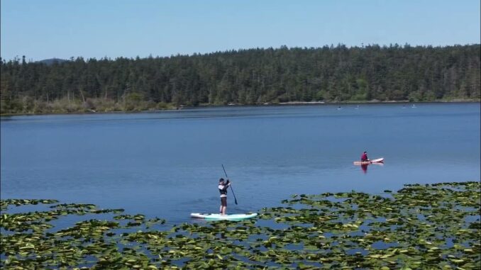 Paddleboard-678x381 Washington State’s Best Paddleboarding Spots (With A Bonus Spot!) – Oregon Sports News